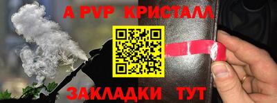 хмурый Кингисепп